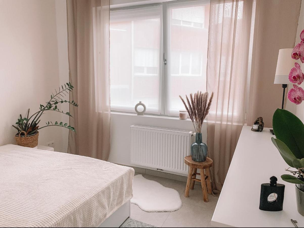 Zwijndrecht Vintage Dream 아파트 외부 사진